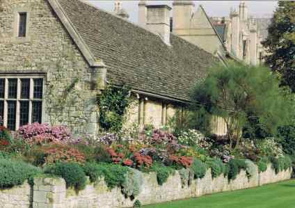 Cambridge Cottage Garden