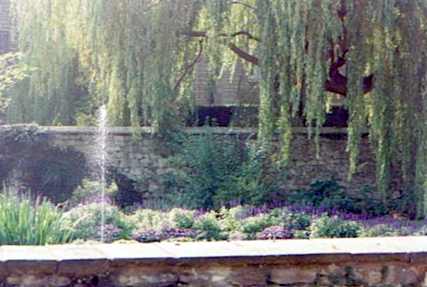 English Garden With Weeping Willow