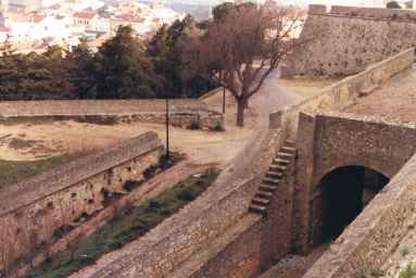 Castle Fortifications